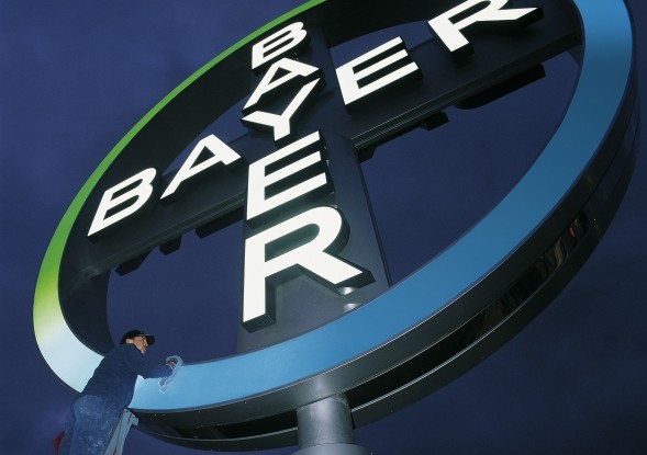 bayer