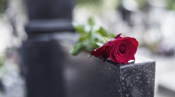 Red rose on grave