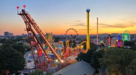 How common are amusement park injuries?