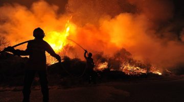 Will Insurance Cover Wildfire Damages?
