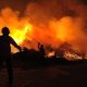 Will Insurance Cover Wildfire Damages?
